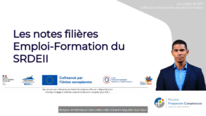 Les notes filières Emploi-Formation du SRDEII
